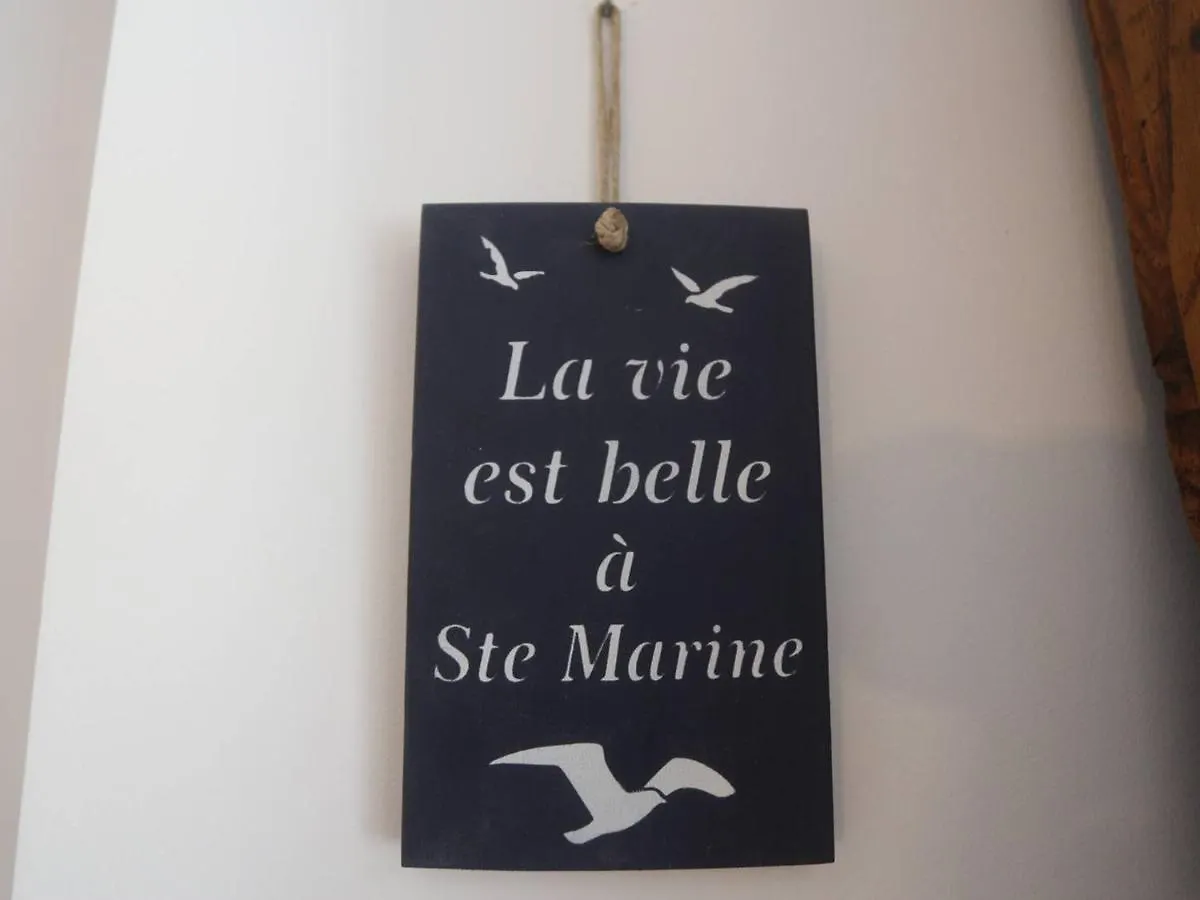 דירות Combrit Sainte-Marine: T2 Duplex Renove Avec Jardin Prive Et Vue Sur Port - Fr-1-481-91